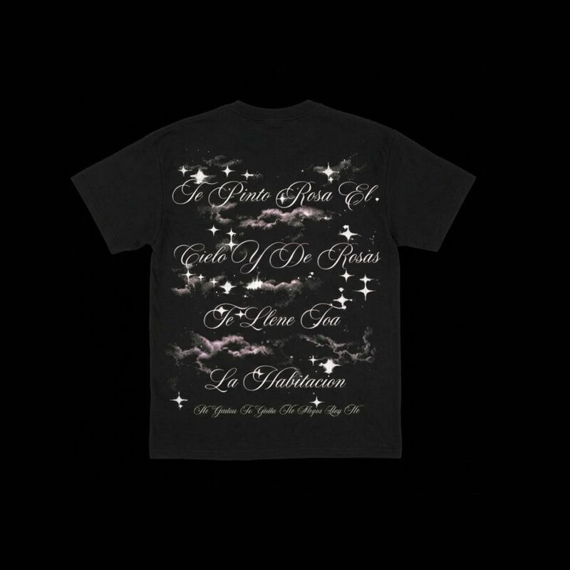 Sad Boyz No Tenga$ Miedo Tee Back